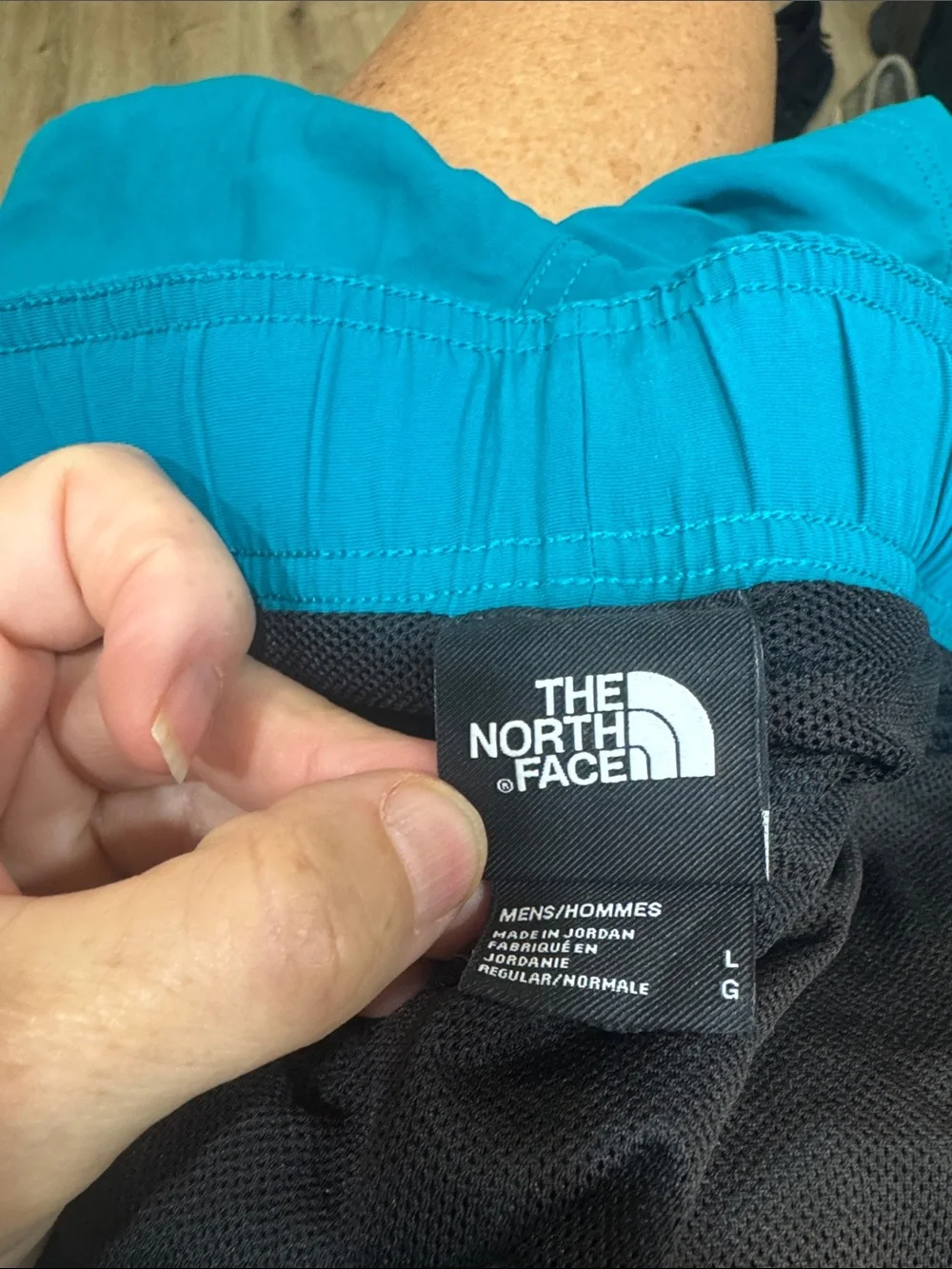 The North Face good shorts